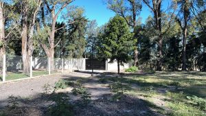 WhatsApp Image 2026-02-20 at 5.51.16 PM (2)