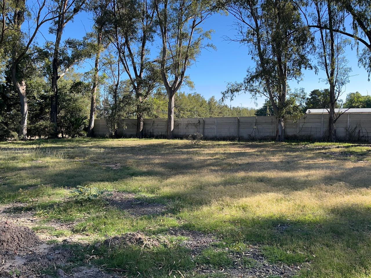 WhatsApp Image 2026-02-20 at 5.51.17 PM (1)