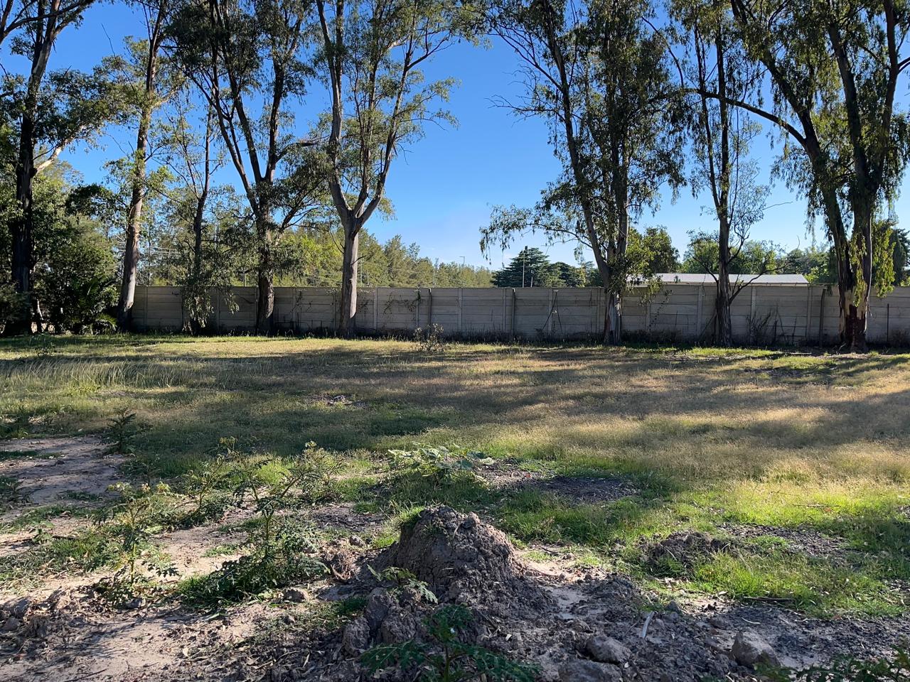 WhatsApp Image 2026-02-20 at 5.51.17 PM (2)