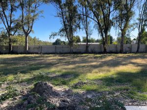 WhatsApp Image 2026-02-20 at 5.51.17 PM (3)