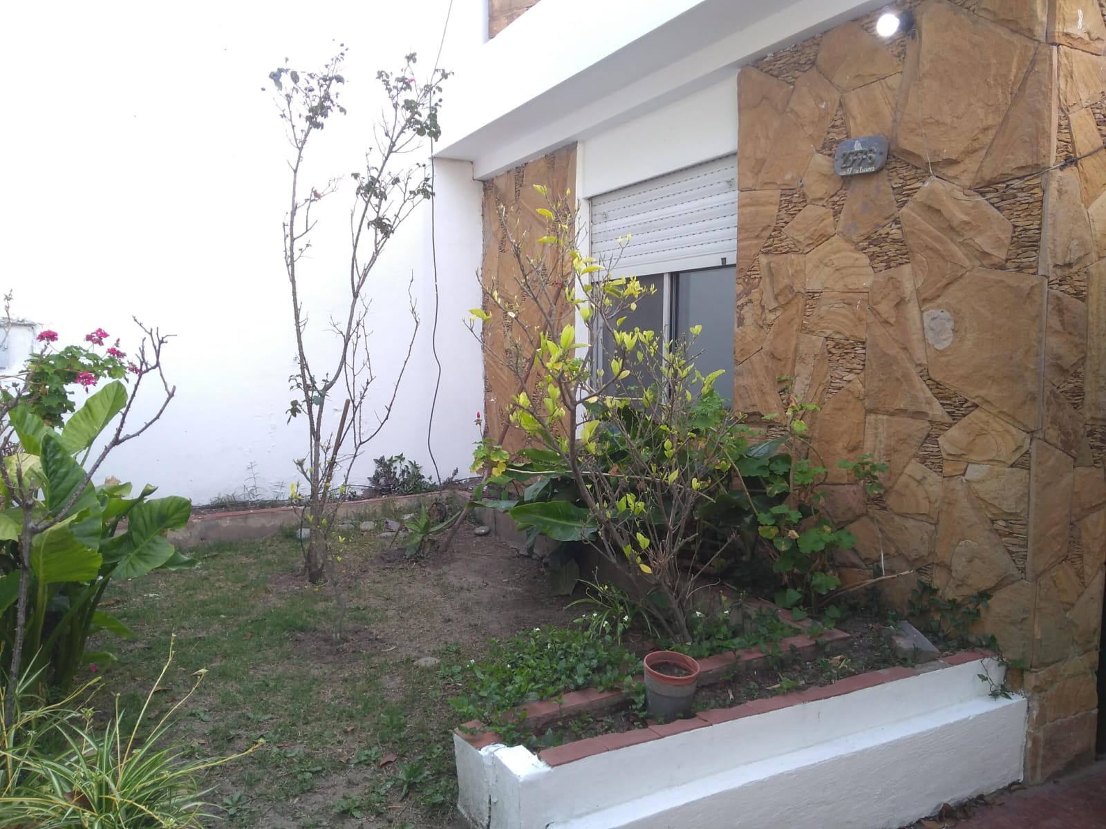 WhatsApp Image 2026-03-26 at 7.17.21 PM